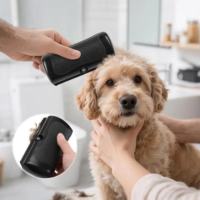 Brosse Sublime Poils Chien, Chat, Chevaux