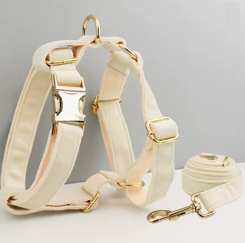 Ensemble harnais pour chien avec laisse