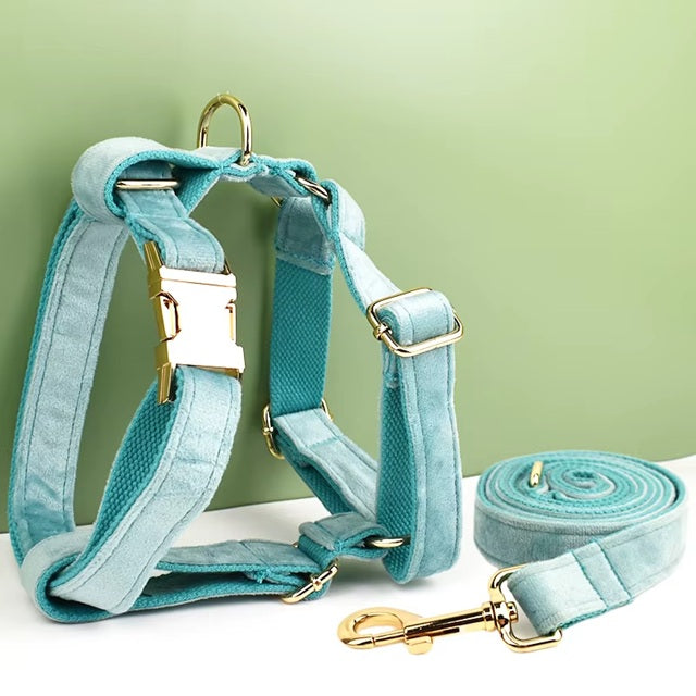 Ensemble harnais pour chien avec laisse