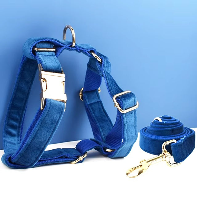 Ensemble harnais pour chien avec laisse