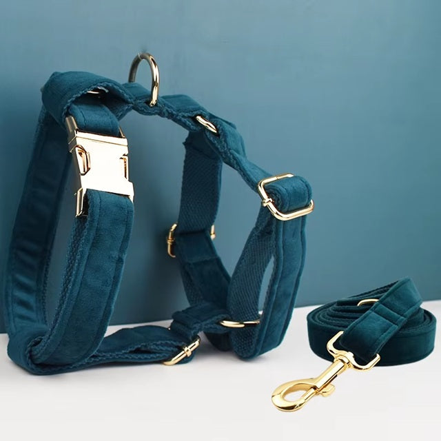 Ensemble harnais pour chien avec laisse