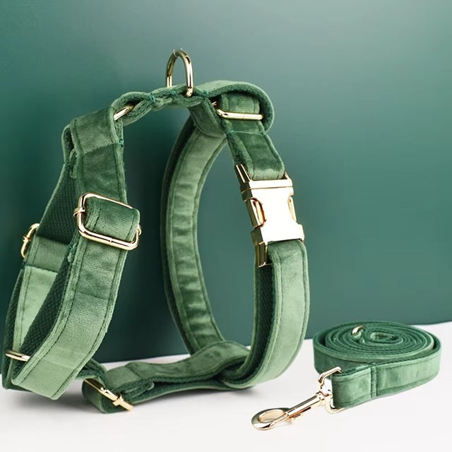 Ensemble harnais pour chien avec laisse